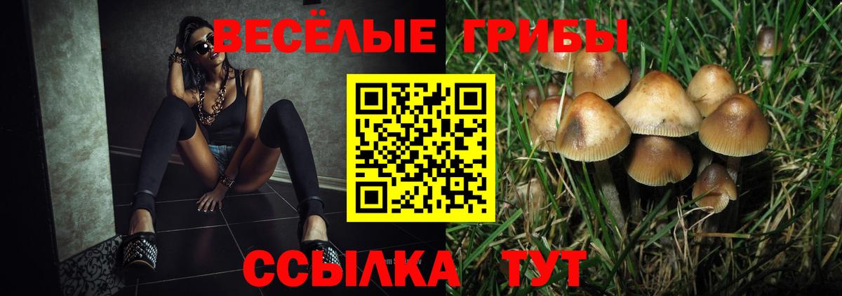 Галлюциногенные грибы MAGIC MUSHROOMS Бердск