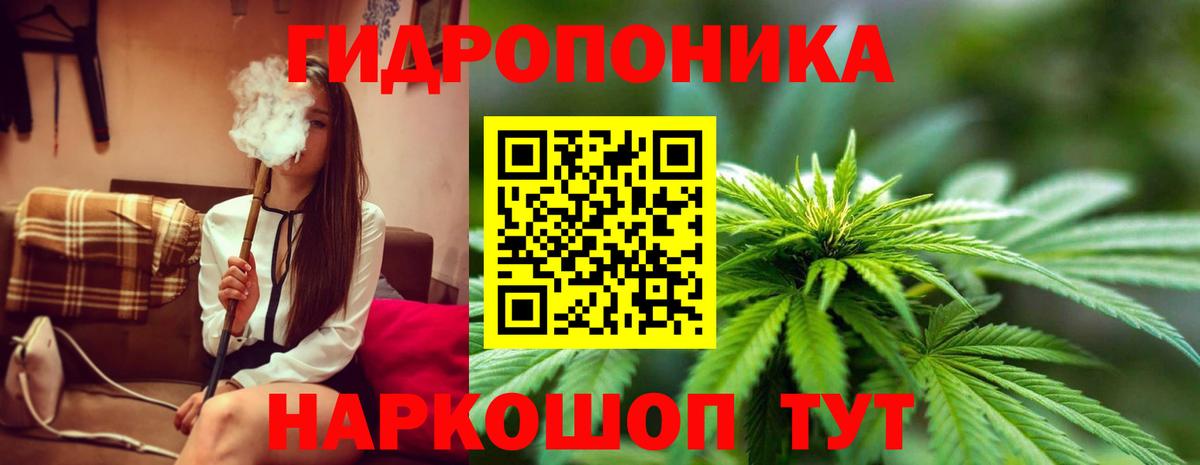 Канабис ГИДРОПОН Бердск